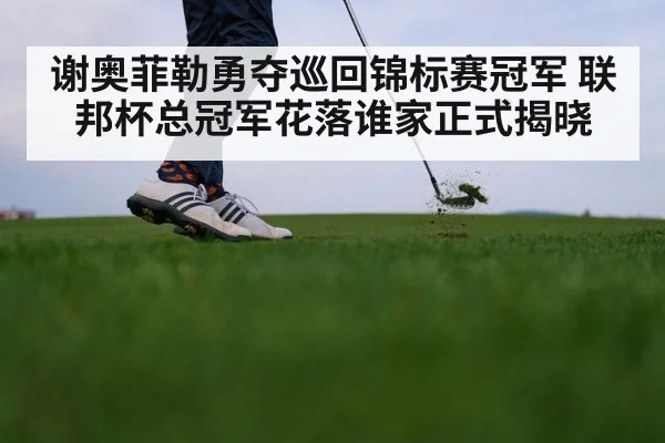 谢奥菲勒勇夺巡回锦标赛冠军 联邦杯总冠军花落谁家正式揭晓